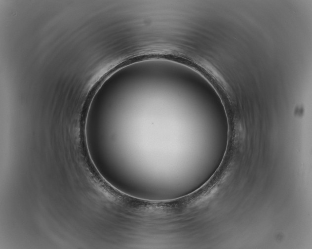 X0000091560834200708171324