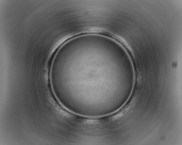 X0000091560835200708171324