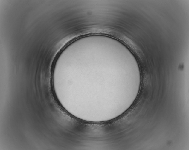 X0000091560836200708171324