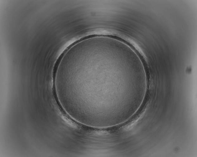 X0000091560837200708171324