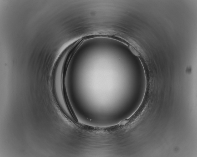 X0000091560838200708171324