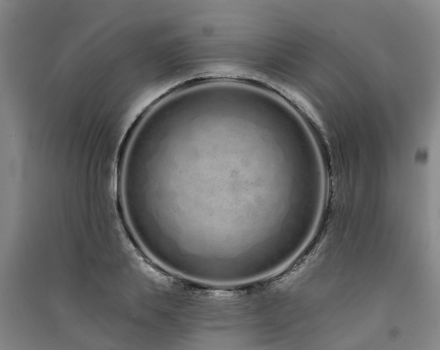 X0000091560839200708171324