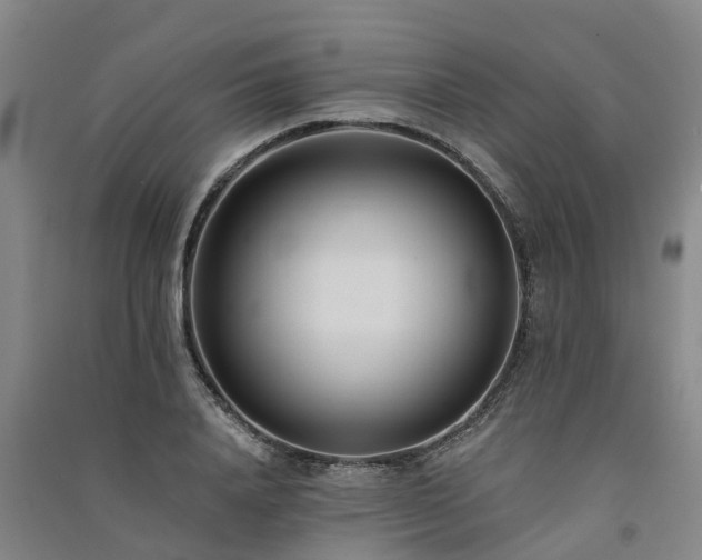 X0000091560840200708171324