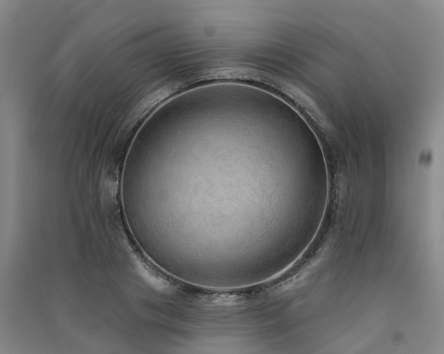 X0000091560841200708171324