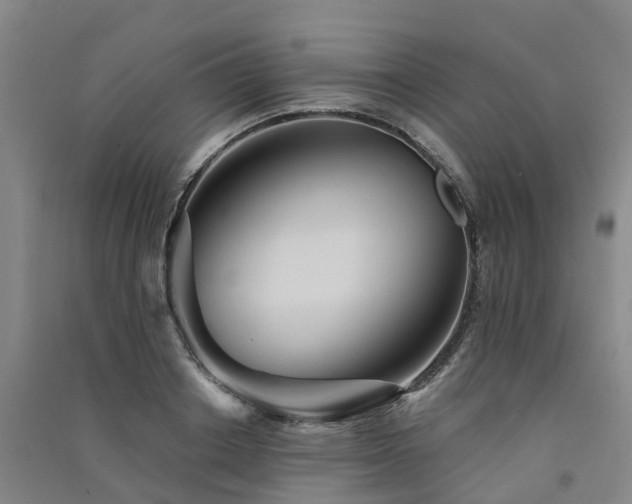 X0000091560842200708171324