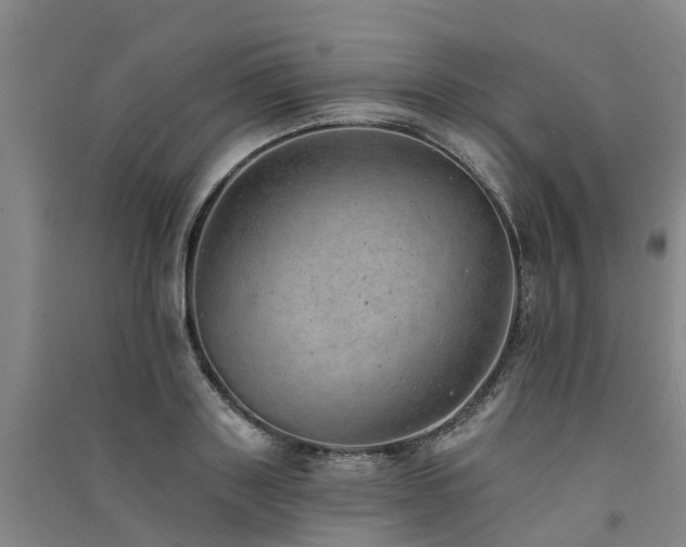 X0000091560843200708171324