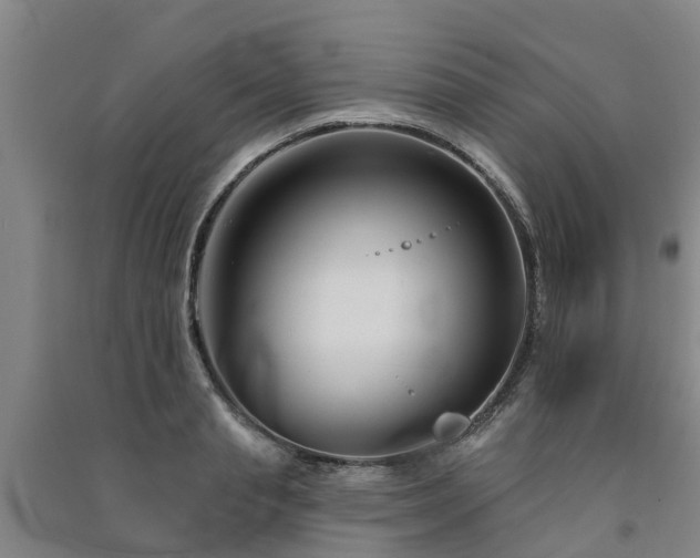 X0000091560845200708171324