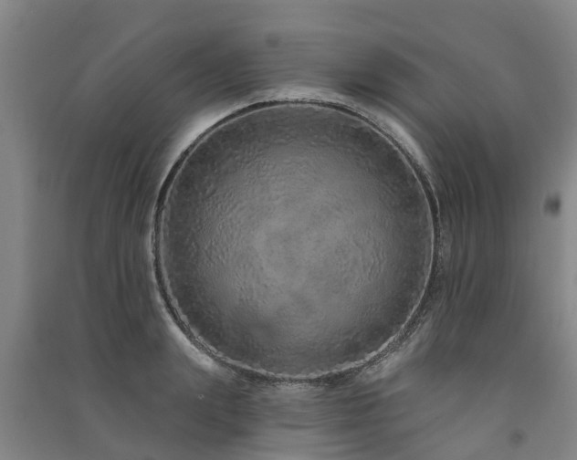 X0000091560847200708171324