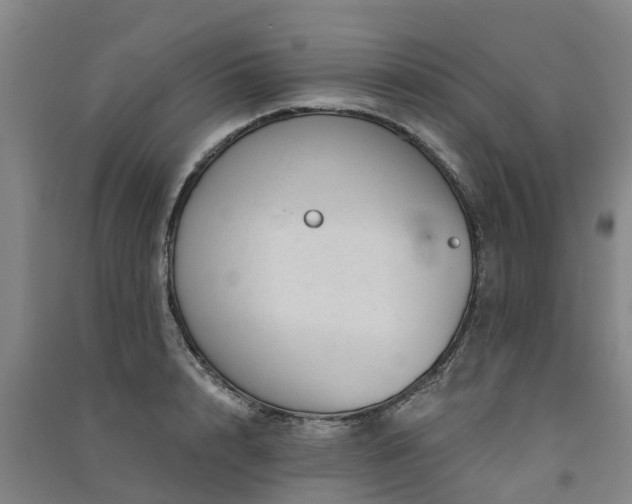 X0000091560848200708171324