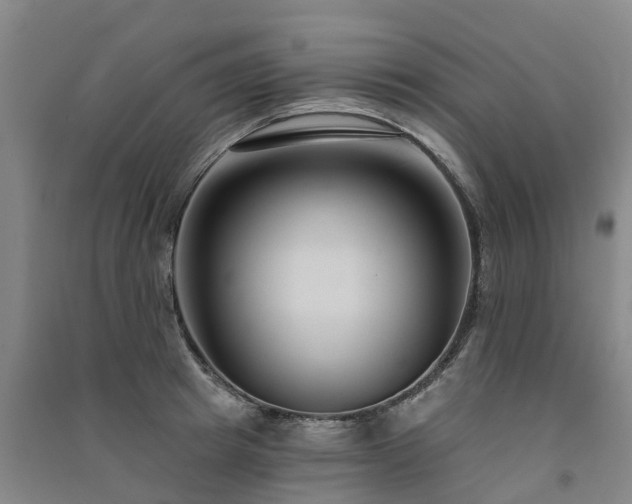 X0000091560849200708171324