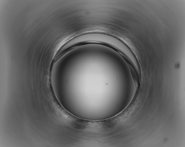 X0000091560850200708171324