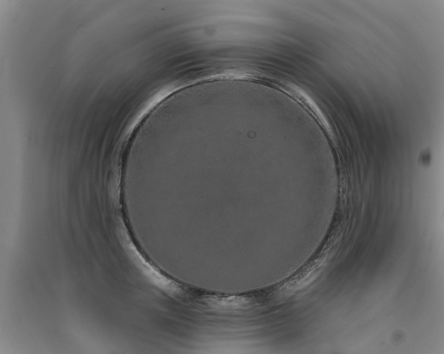 X0000091560851200708171324