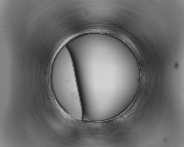 X0000091560852200708171324