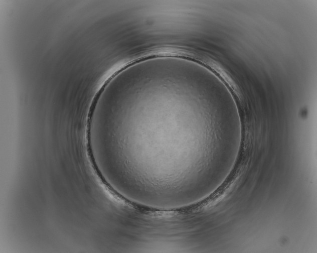 X0000091560853200708171324