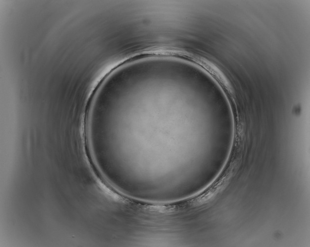 X0000091560855200708171324