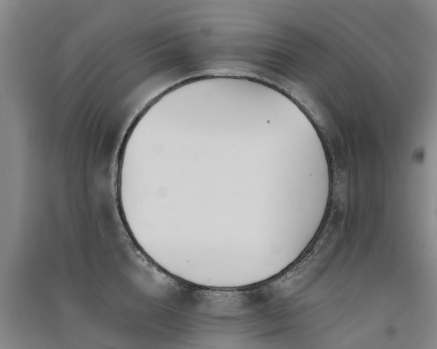 X0000091560856200708171324