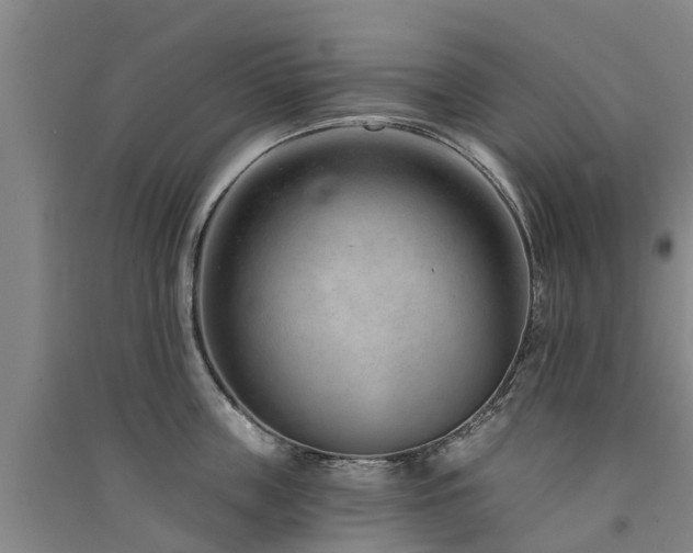 X0000091560859200708171324