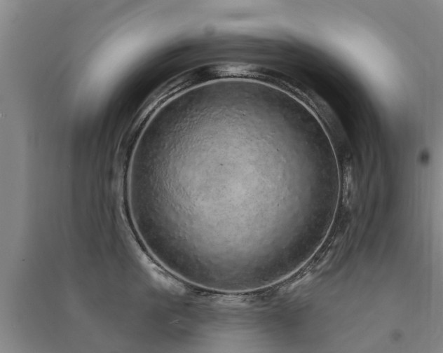 X0000091560861200708171324