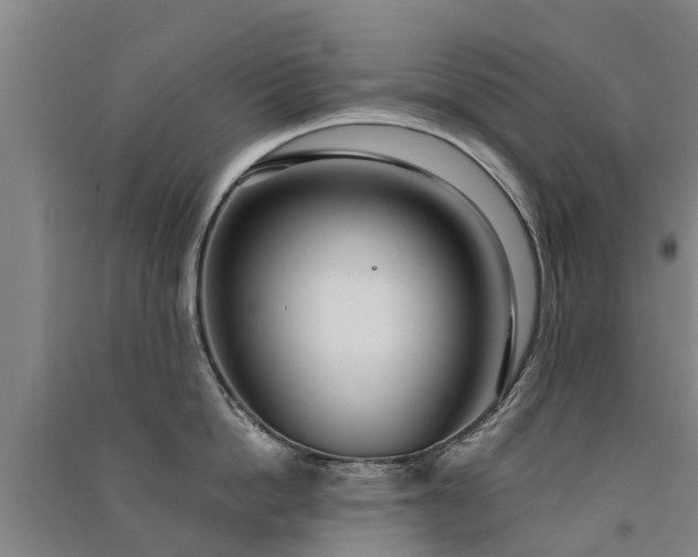 X0000091560862200708171324