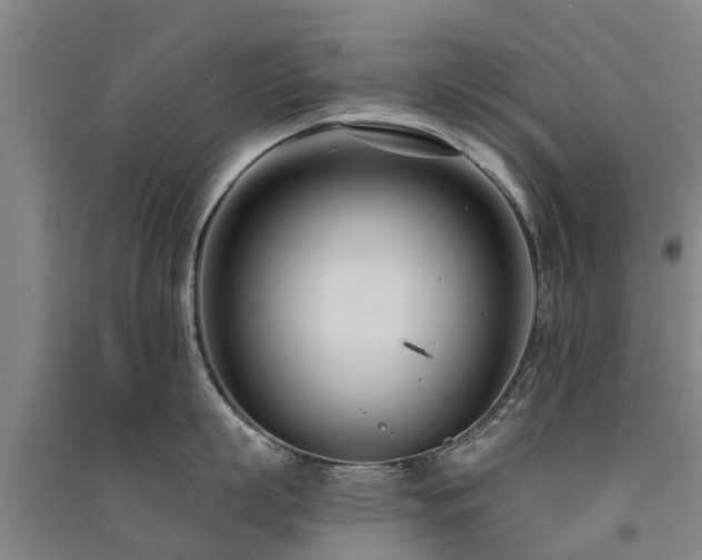 X0000091560863200708171324