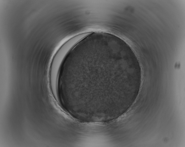 X0000091560864200708171324