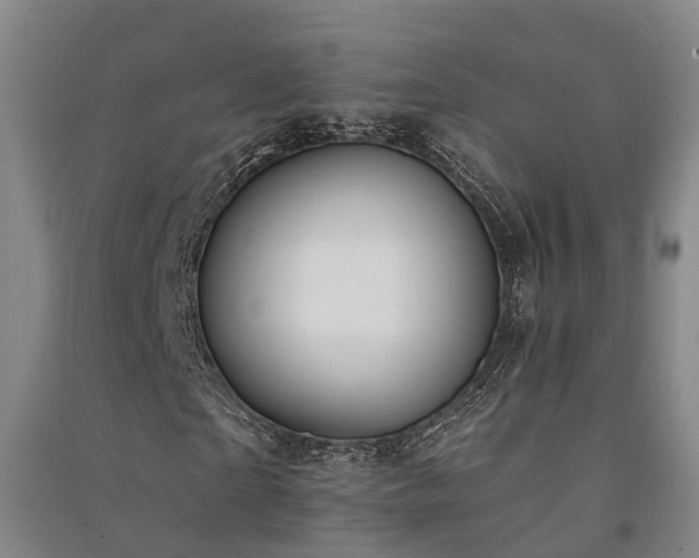 X0000091560865200708171324