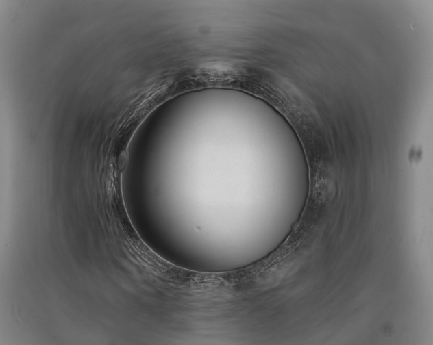 X0000091560866200708171324