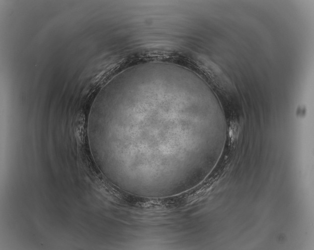 X0000091560867200708171324