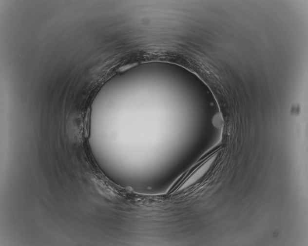 X0000091560868200708171323