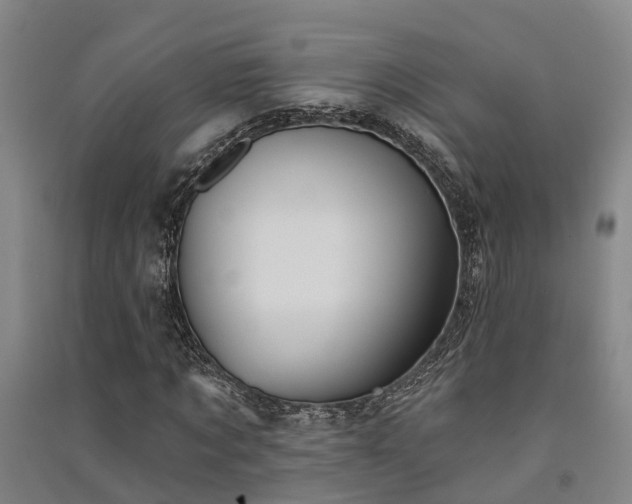 X0000091560869200708171323