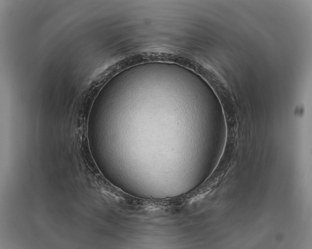 X0000091560870200708171323