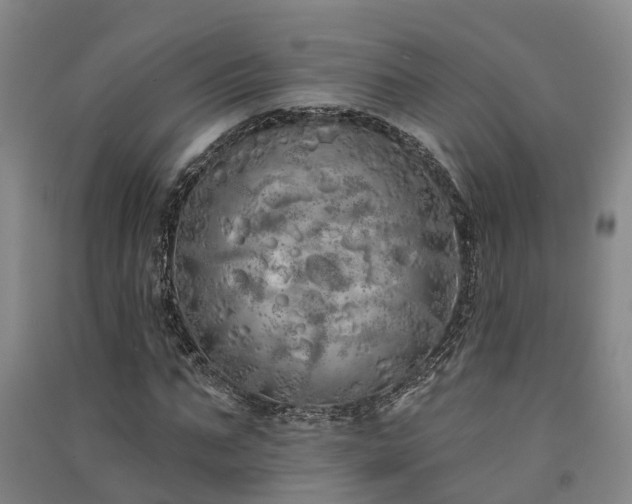 X0000091560871200708171323