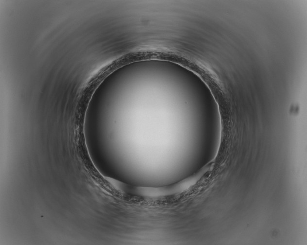 X0000091560872200708171323