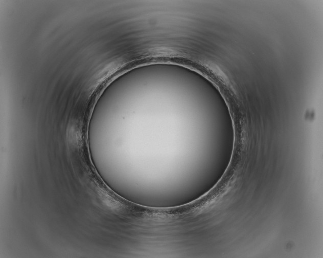 X0000091560873200708171323