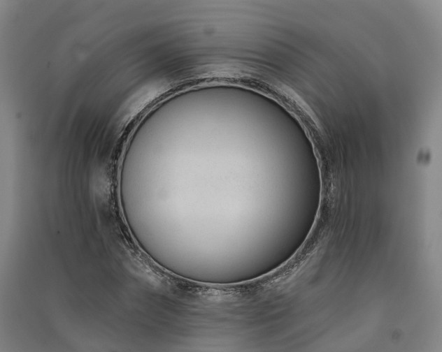 X0000091560874200708171323