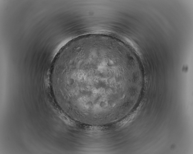 X0000091560875200708171323