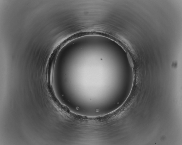 X0000091560876200708171323