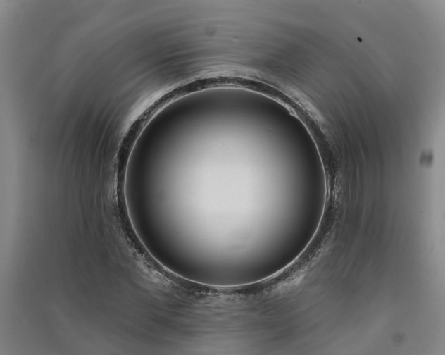 X0000091560877200708171323