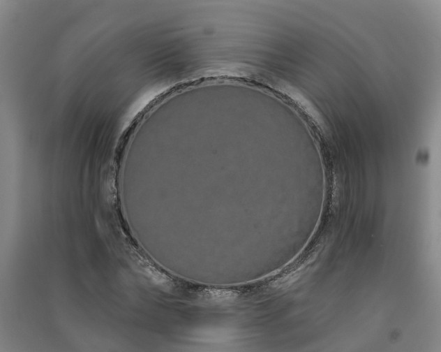 X0000091560878200708171323