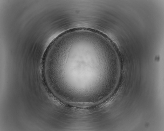 X0000091560879200708171323