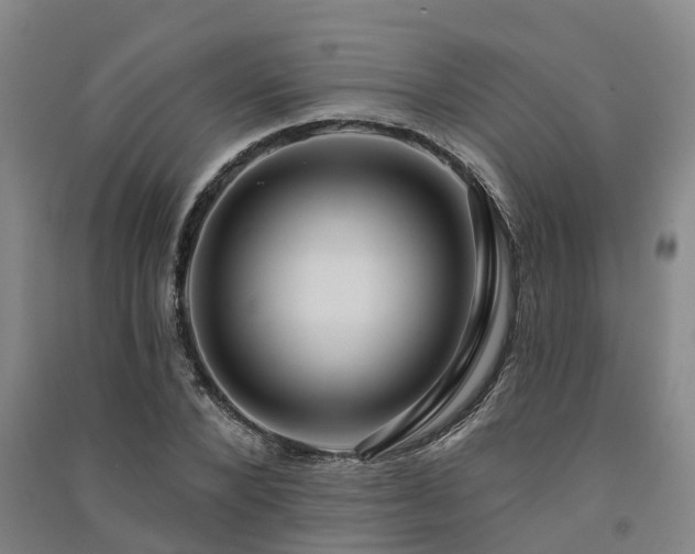 X0000091560880200708171323