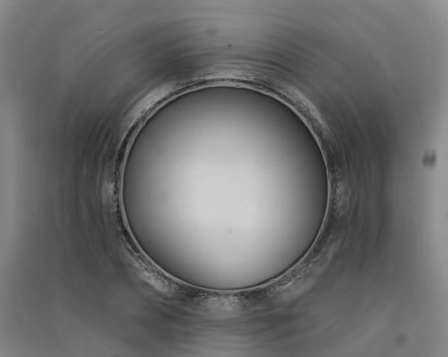 X0000091560882200708171323