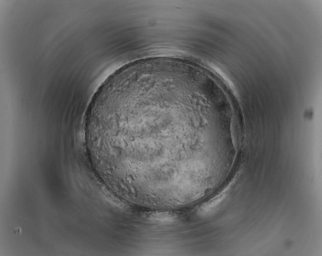 X0000091560883200708171323