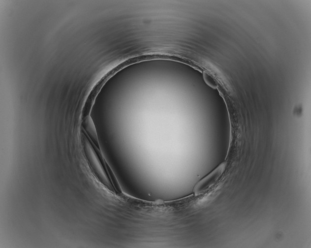 X0000091560884200708171323