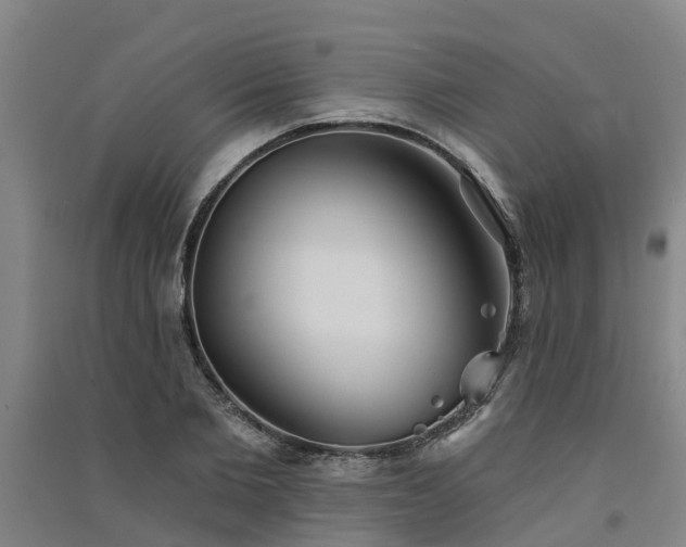 X0000091560885200708171323