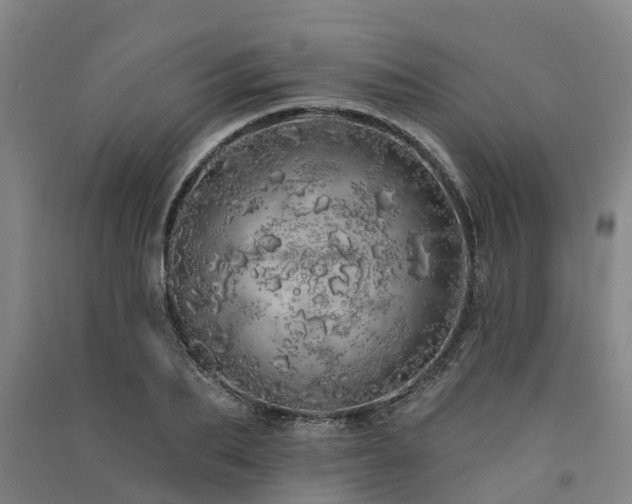 X0000091560887200708171323