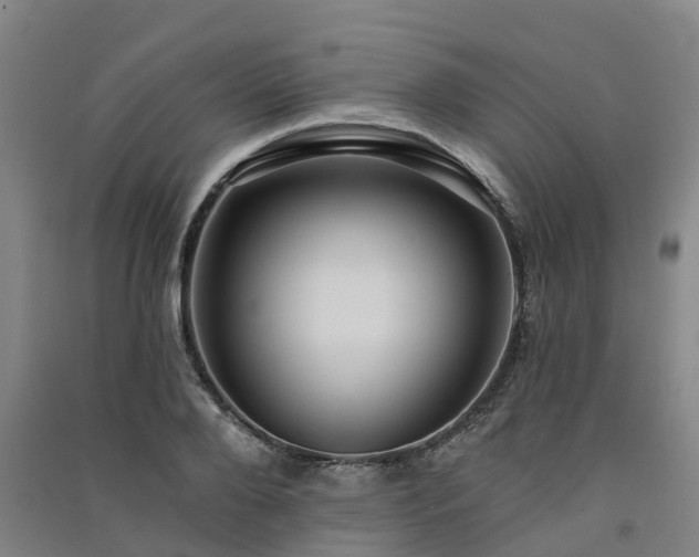 X0000091560888200708171323