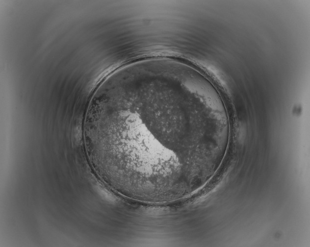 X0000091560889200708171323