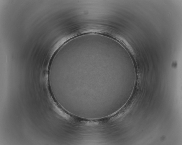 X0000091560890200708171323