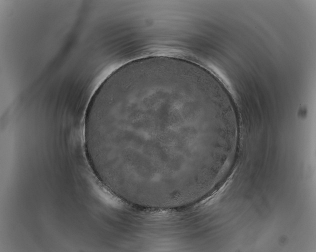 X0000091560891200708171323